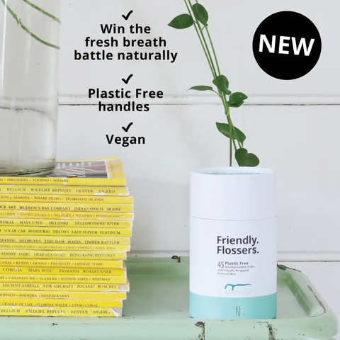 Biodegradable Floss Picks 45 Pack