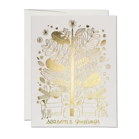 Tree Cats Boxed Cards
