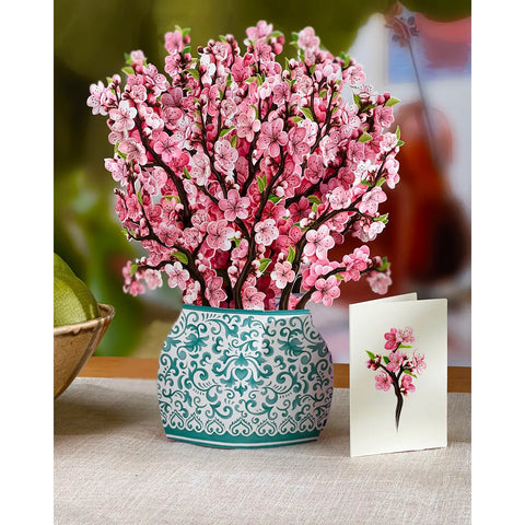 Cherry Blossom Pop Up Bouquet