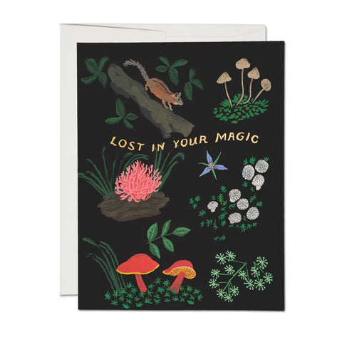 Lost in Magic Card