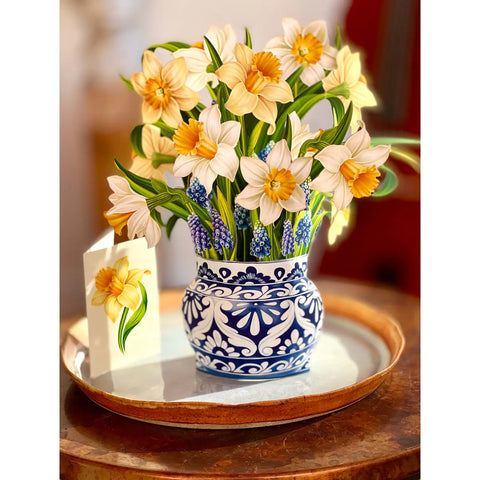 English Daffodils Pop Up Bouquet