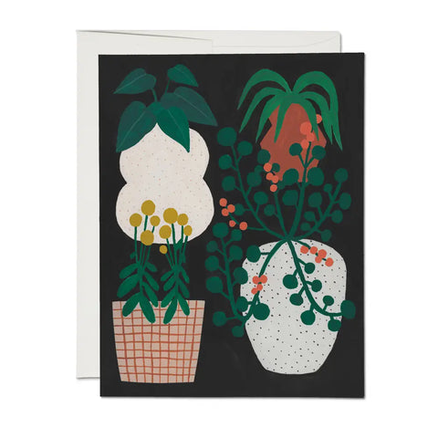 Indoor Plants Boxed Card