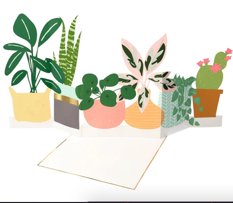 Potted Plant Concertina Card