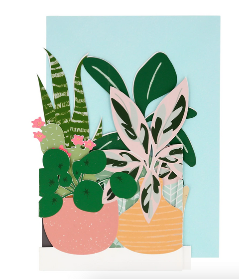 Potted Plant Concertina Card
