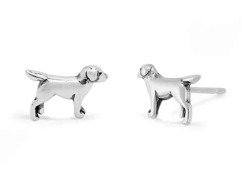 Labrador Retriever Dog Studs