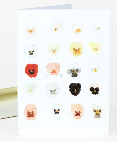 Taxonomy of Pansies Card