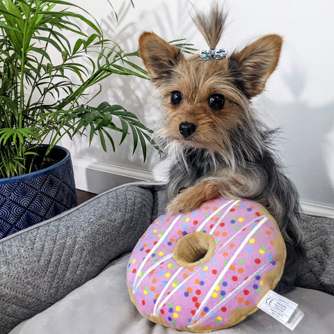 Drizzle Donut Small Dog Toy