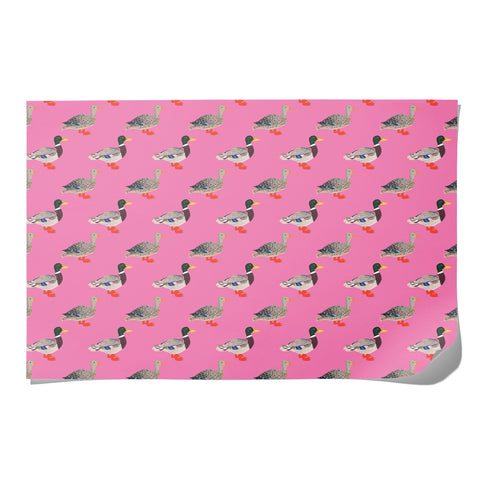 Quacky Birthday Birthday Wrapping Paper Roll of 3 Sheets