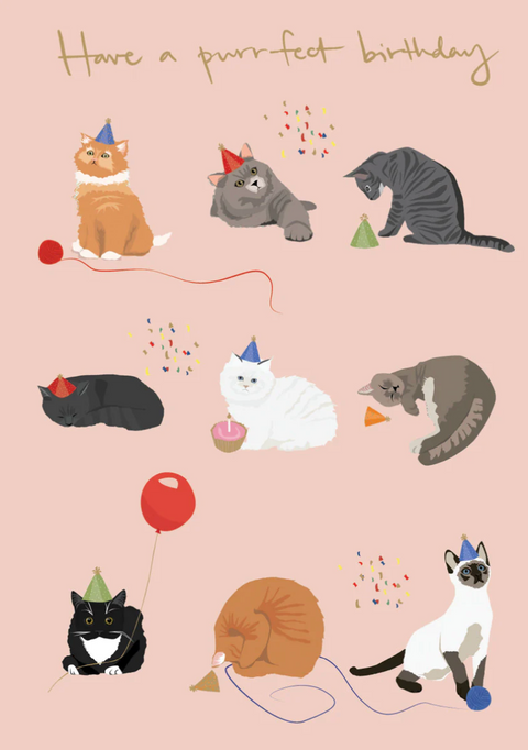 Nine Cats With Hats Single Greeting Card