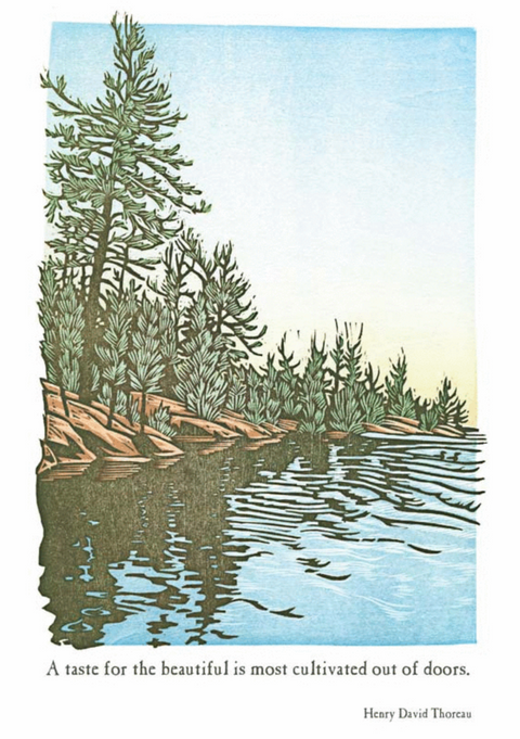 pine Trees Stretch Card
