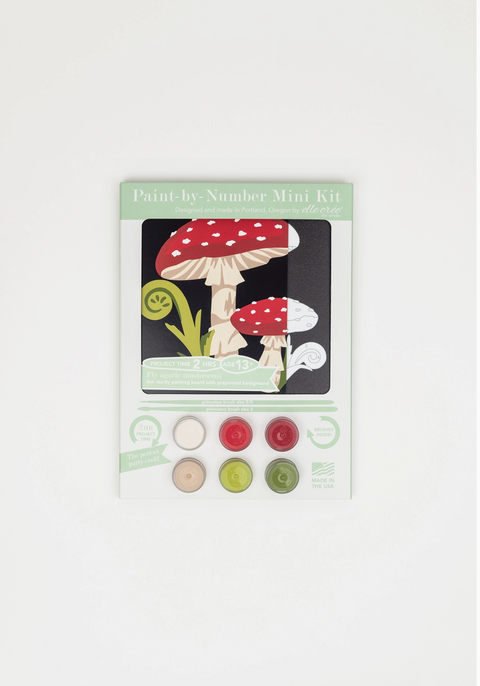 Fly Agaric Mushroom Mini Paint by Numbers Kit