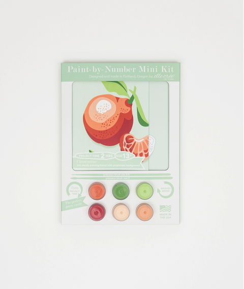 Clementines Mini Paint by Numbers Kit