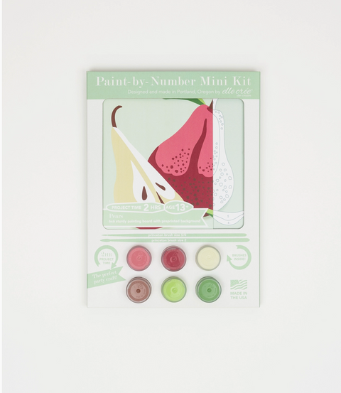 Pears Mini Paint by Numbers Kit