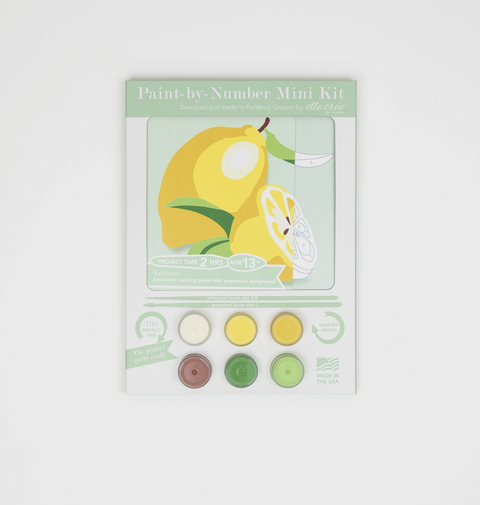 Lemons Mini Paint by Numbers Kit