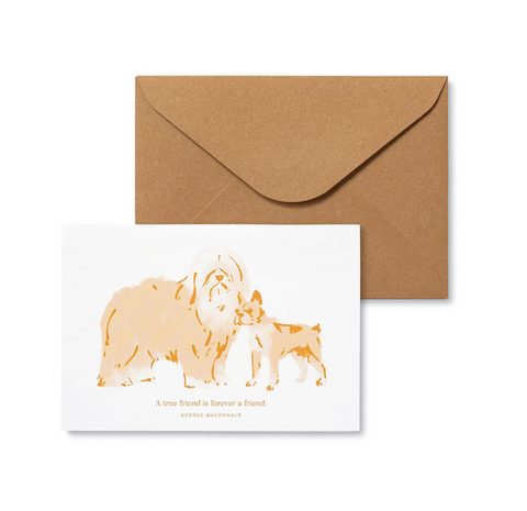 Dog Themed Boxed Cards