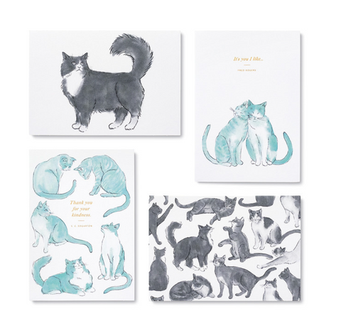 Cat Themed Boxed Cards