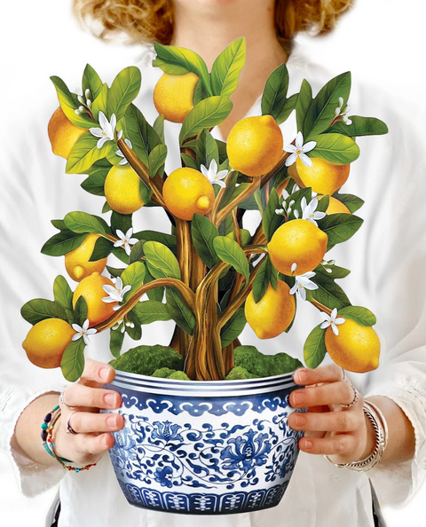 Lemon Blossom Pop Up Tree