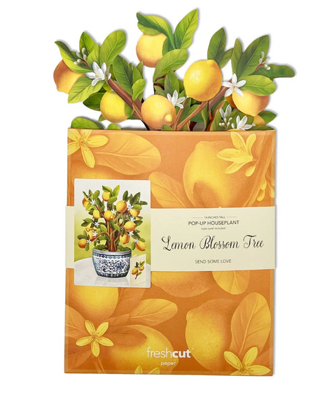 Lemon Blossom Pop Up Tree