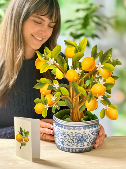 Lemon Blossom Pop Up Tree