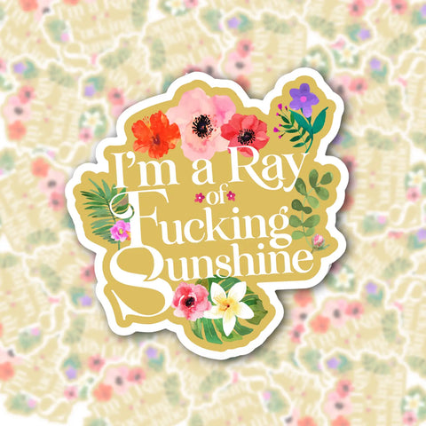 Ray of Fucking Sunshine Sticker
