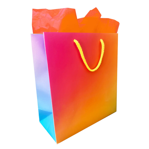 Rainbow Gradient Gift Bag