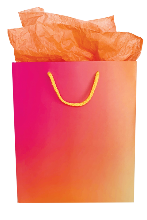 Rainbow Gradient Gift Bag