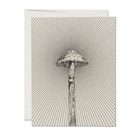 Shroom Boxed Cards