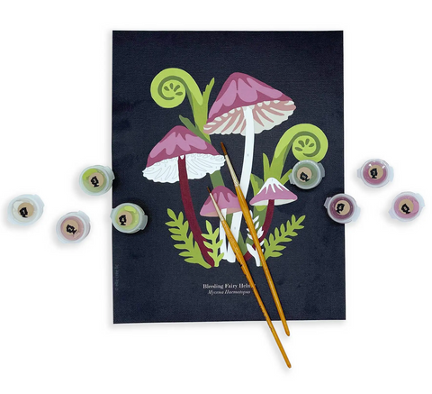 Bleeding Fairy Helmet Mushrooms Paint-by-Number Kit