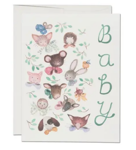 Pink Noses Baby - Greeting Cards