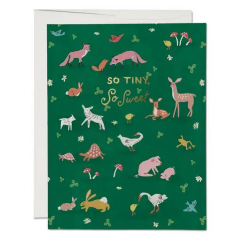 Tiny Animals - Greeting Cards