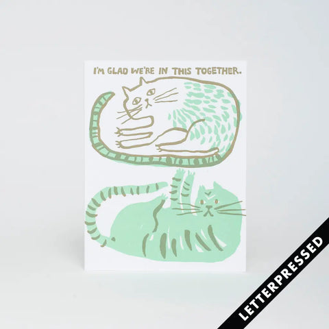 Cats in this Together Card