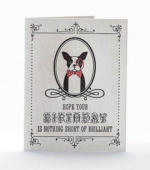 Brillant Terrier Greeting Card